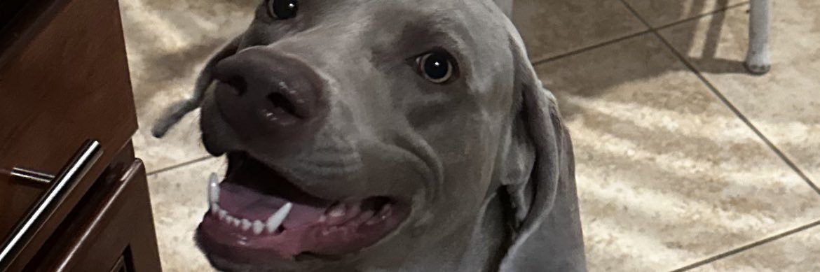 alyssa1899's profile banner image