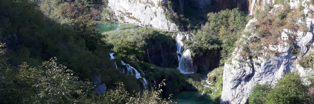 tijales's profile banner image