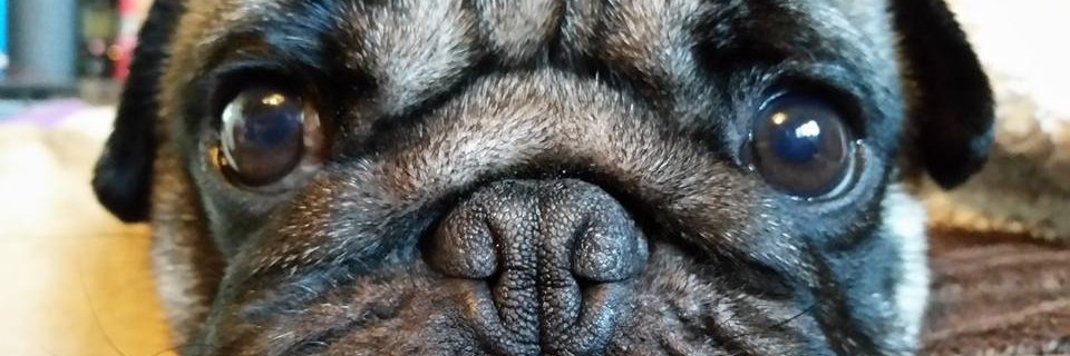 seadog70's profile banner image