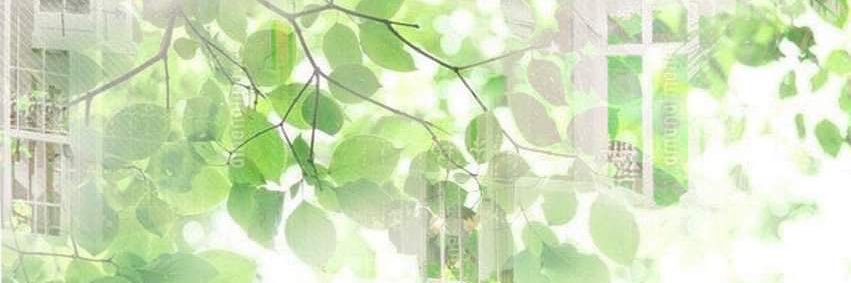 luffy .ᐟ 𖤓 ⋆˚࿔ banner