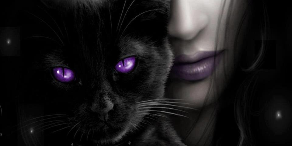 AngieJacome's profile banner image