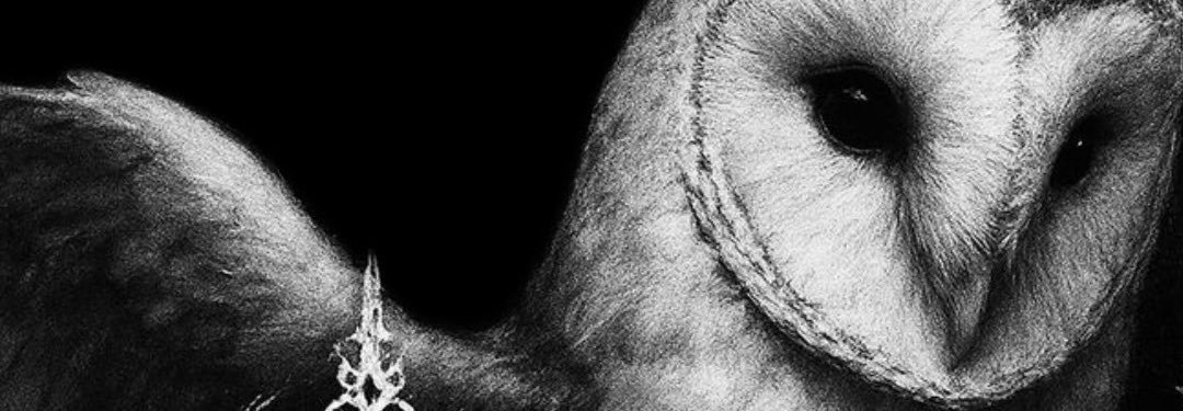 Starsysgu's profile banner image