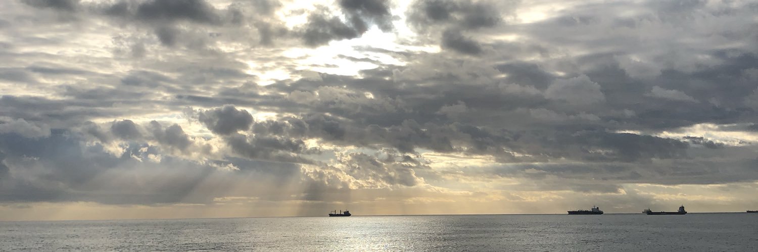 David Rocamora banner