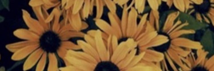 amandaafishmann's profile banner image