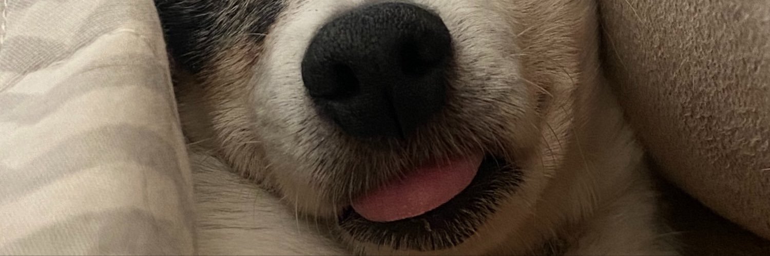 basousas's profile banner image