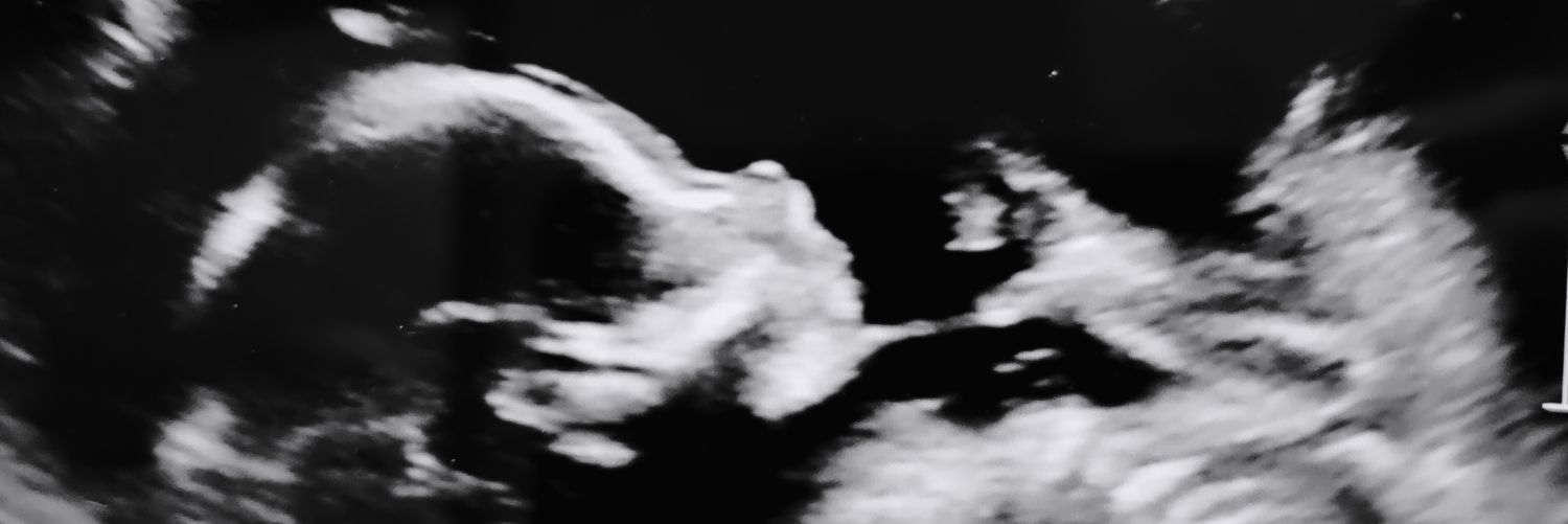 fearlesslysteph's profile banner image