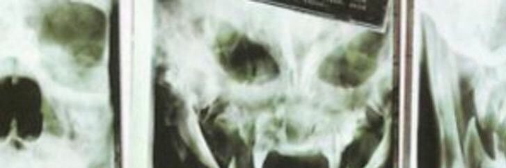 daenisonfire's profile banner image