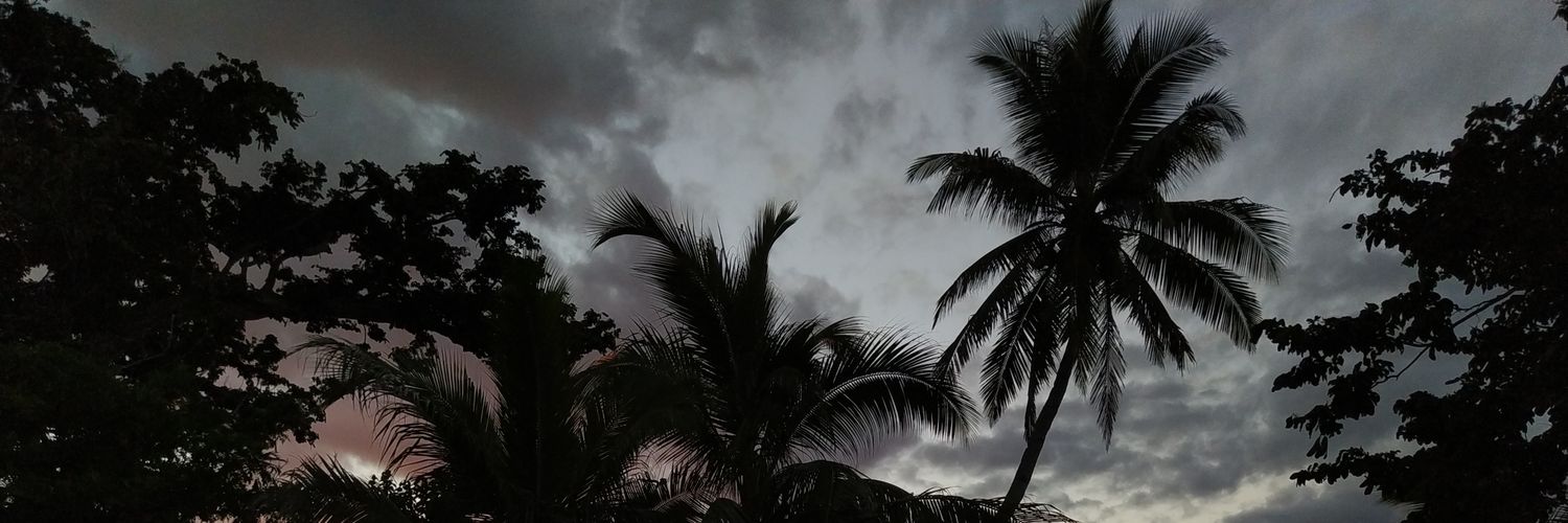 Dayson Bennett banner