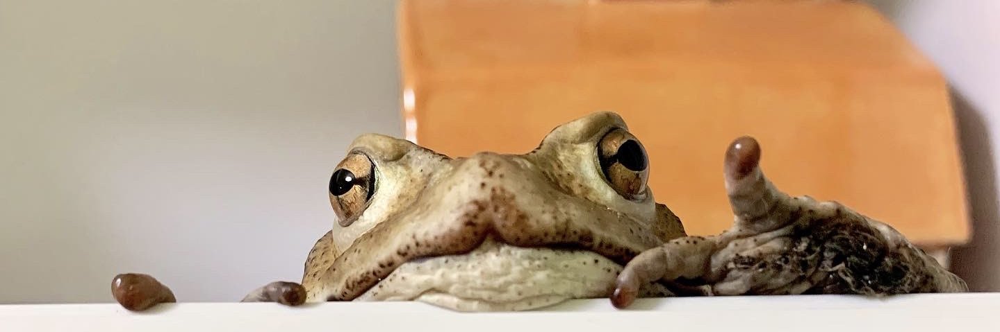 micchoooin's profile banner image