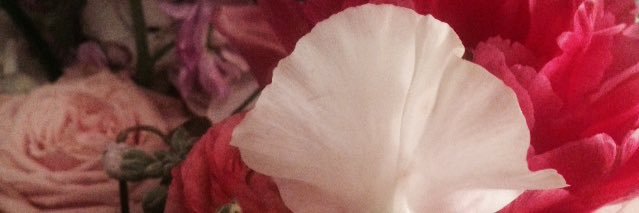slowly banner