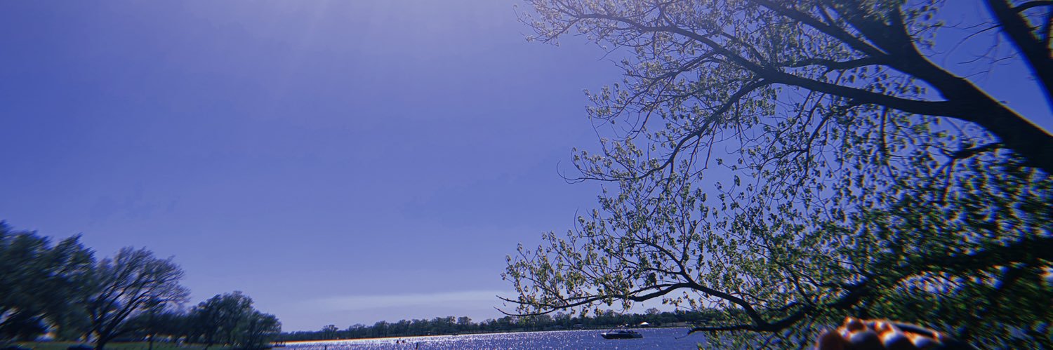 AmazinglyDi's profile banner image