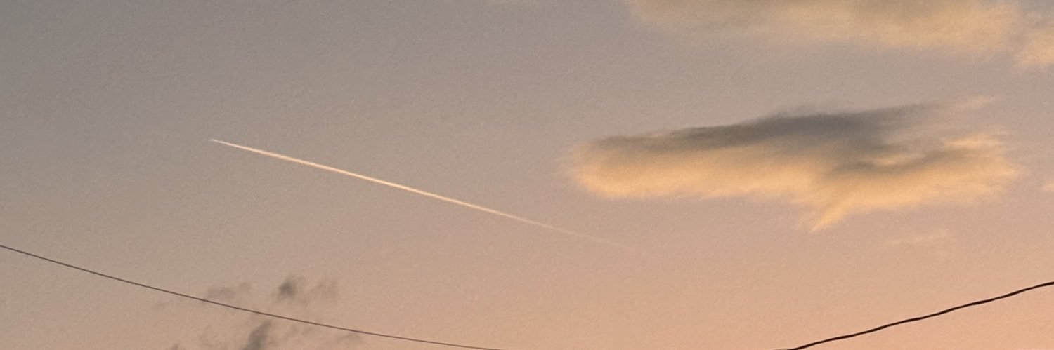 stef🌱 new acc!! banner