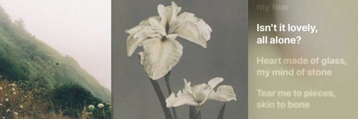 𝓜𝑖𝑙. banner