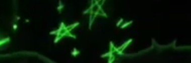 Xavier1712693's profile banner image