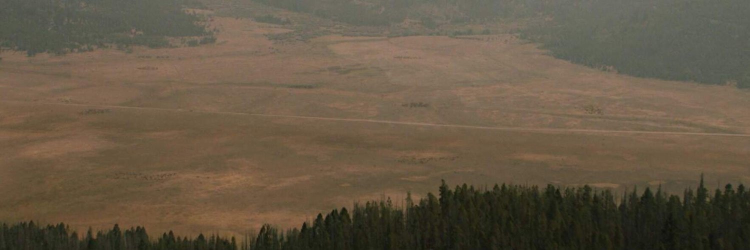 Posts From New Eden banner