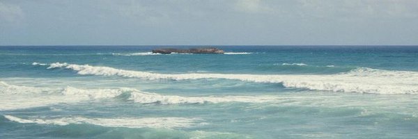 foidmensch Profile Banner