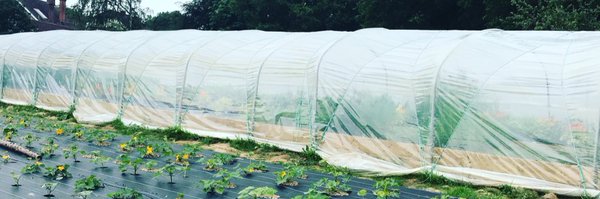 willdevlin Profile Banner