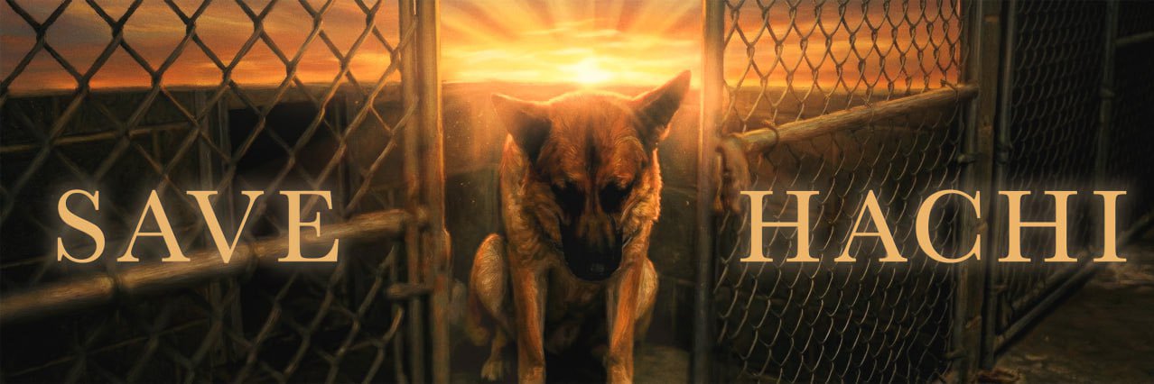 Save Hachi banner