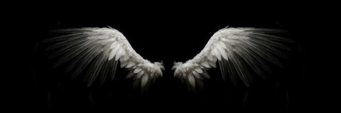xenthv's profile banner image