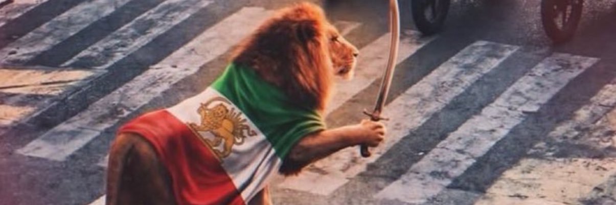 Phoenix Revolution banner