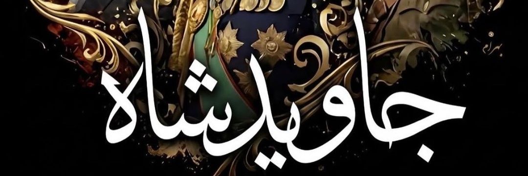 Negin Iravani banner