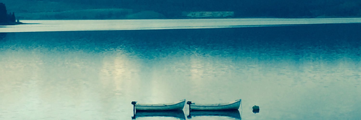 waumo's profile banner image