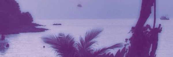 ofcamsugar Profile Banner