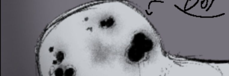 NetCartoon7443's profile banner image