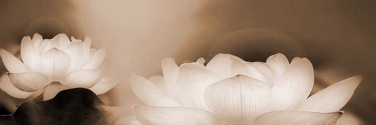 kaiqunivers's profile banner image