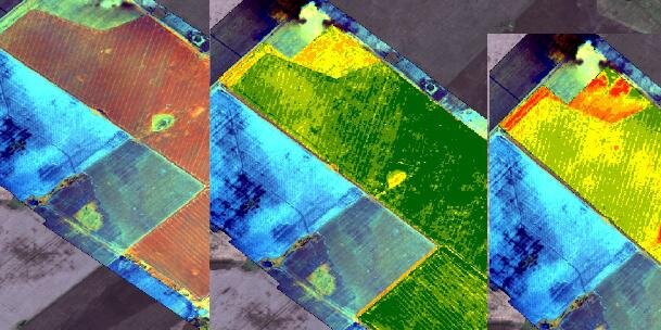 Erik de Badts banner