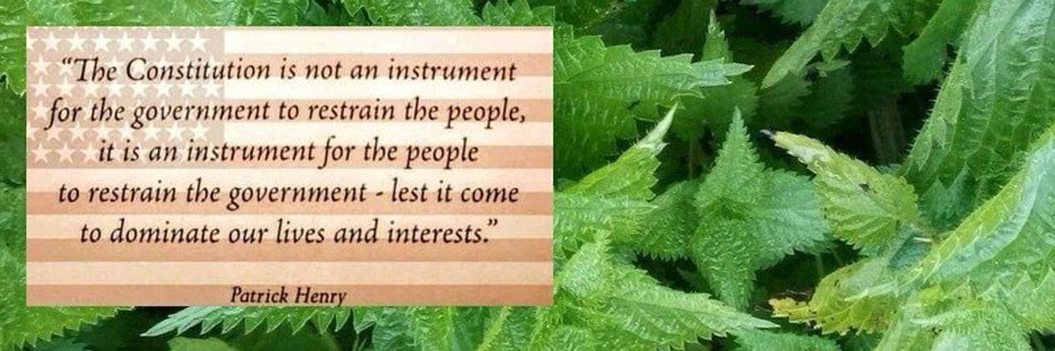 FreedomNettle banner