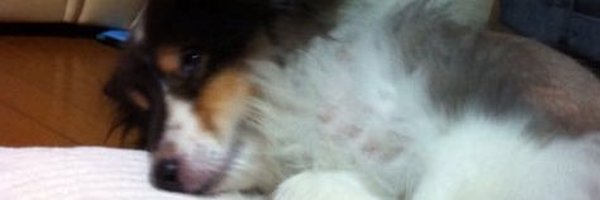 basetypage Profile Banner