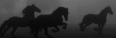 Ｔａｔｓｕｙａ banner