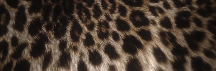 Gabotrex57's profile banner image