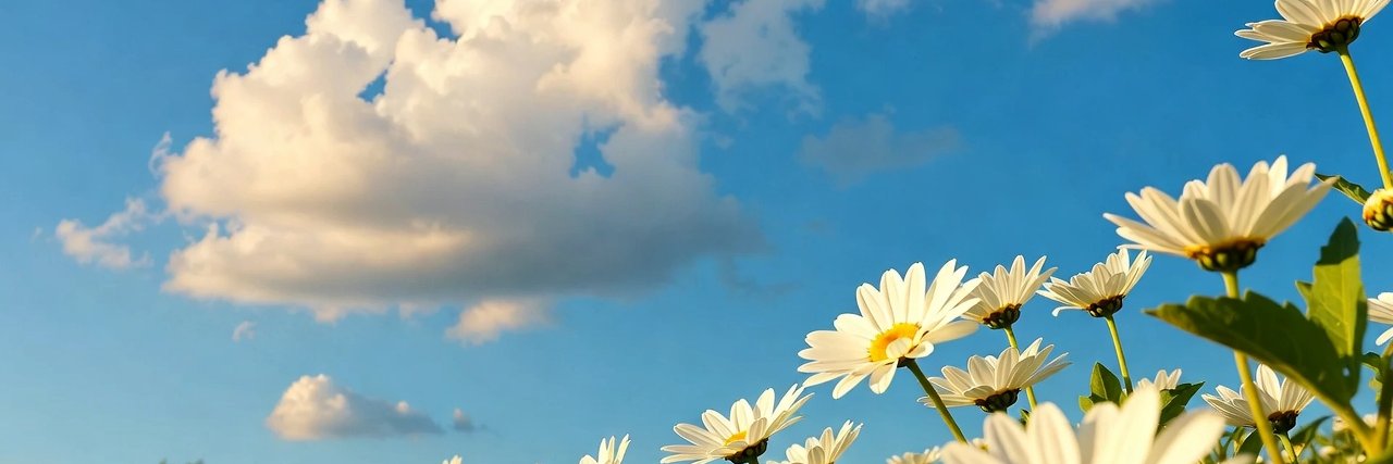 ERNESTINAA74661's profile banner image