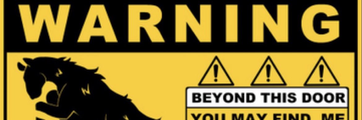 ℧ HorsedRider🏳️‍⚧️🏳️‍🌈 banner