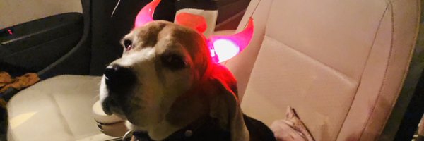 gauravd Profile Banner
