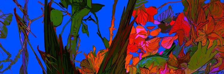 ani_quant's profile banner image