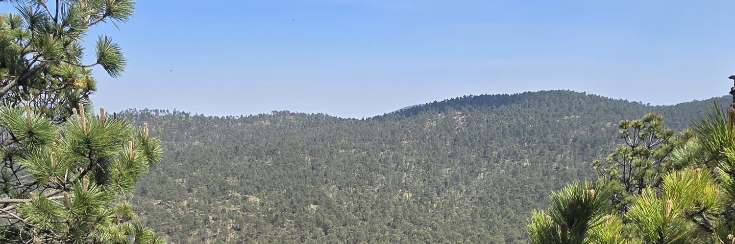 costroson's profile banner image