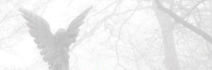 faerygrave's profile banner image