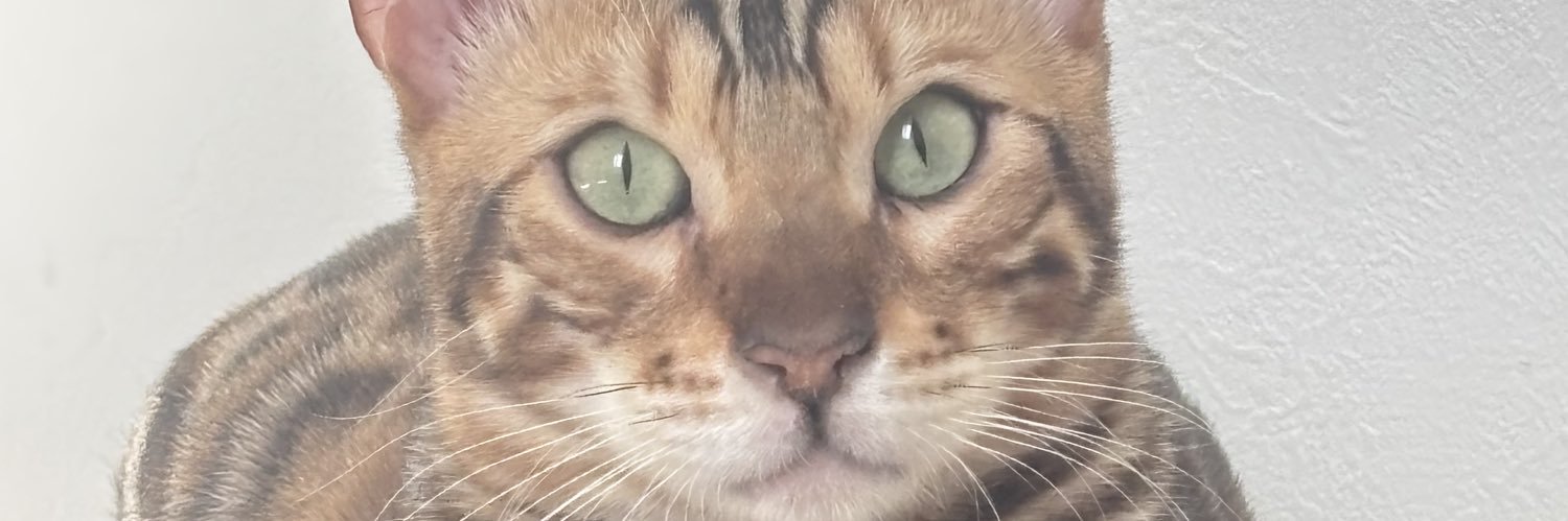 Pguts_'s profile banner image