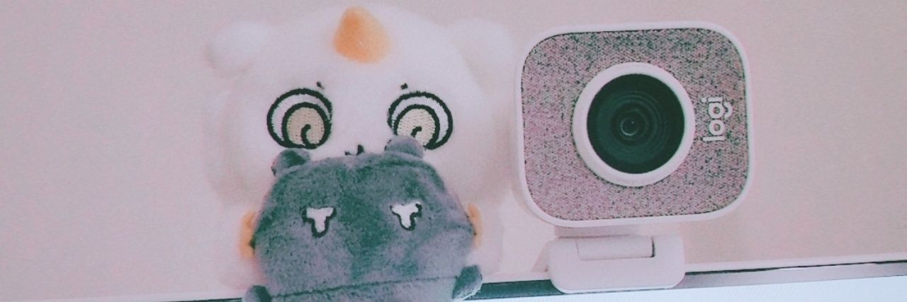 のらまし🐈 banner