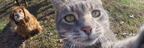 gris26639's profile banner image