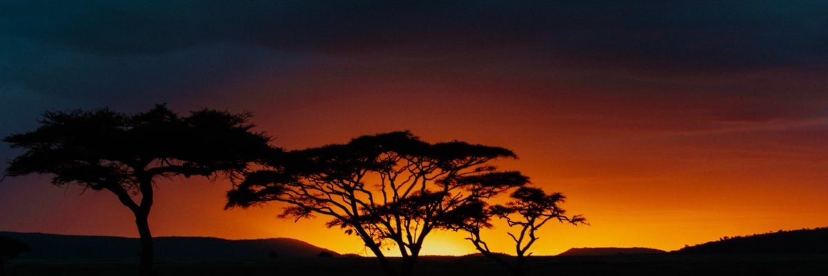 hoenderholle's profile banner image