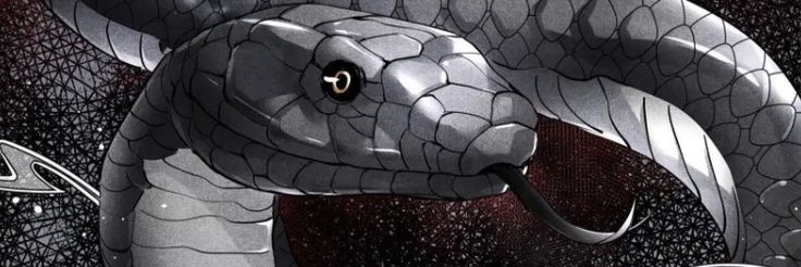 🂻 𝕮𝔯𝔲𝔷 .𝕯 🂻 banner