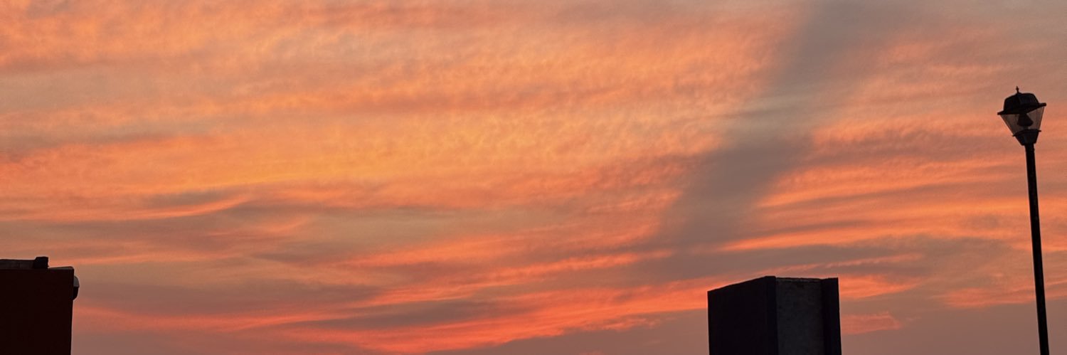 Lilicita.🧸 banner