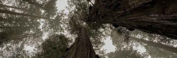 soeansx's profile banner image
