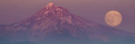 CdotCarter22's profile banner image