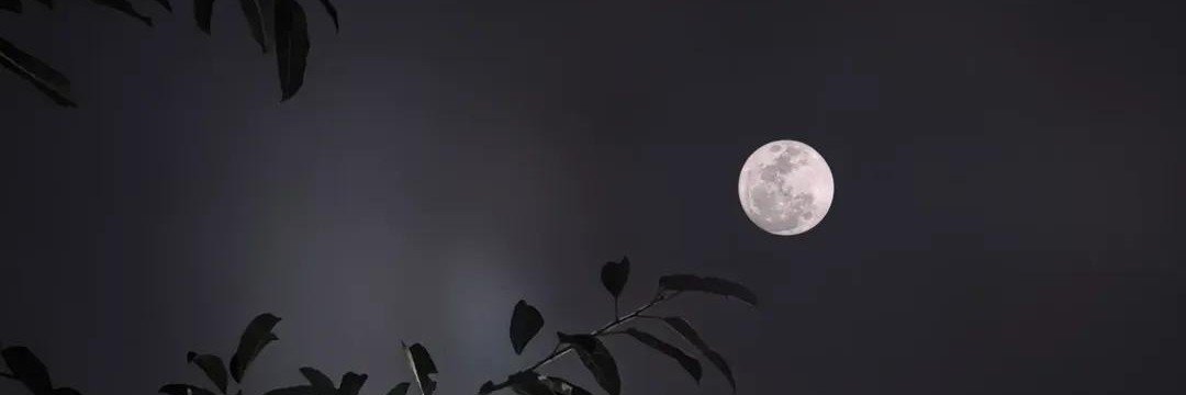 xwaxyan's profile banner image
