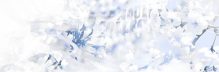 MafiChanArt's profile banner image